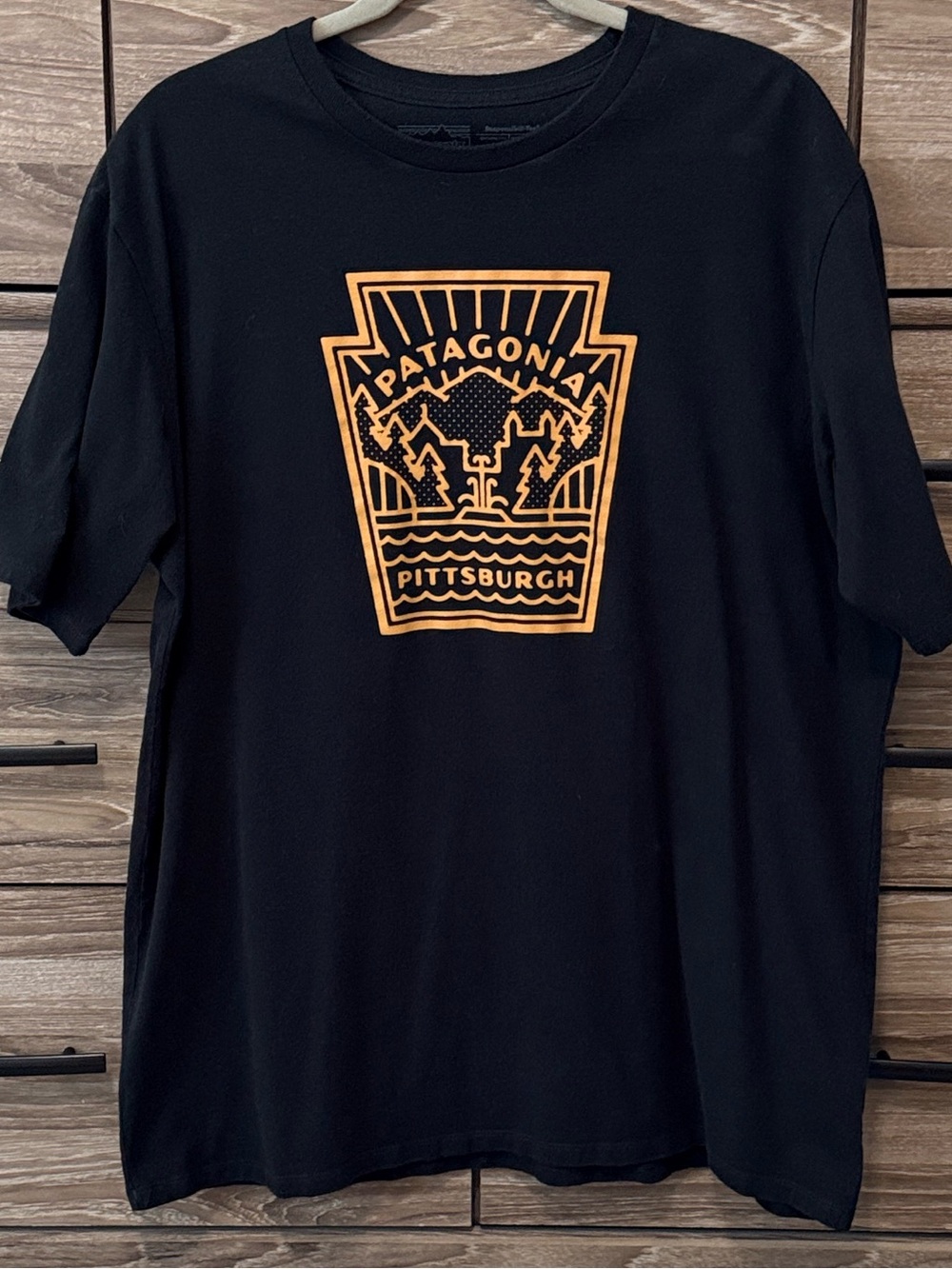Patagonia Pittsburgh Pennsylvania Responsibili-Tee Shirt Size Large Black